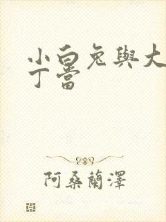 小白兔与大灰狼丁当