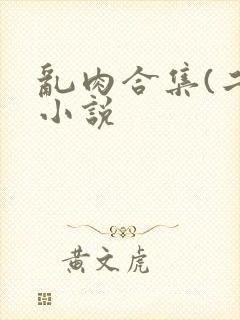 乱肉合集(二)小说