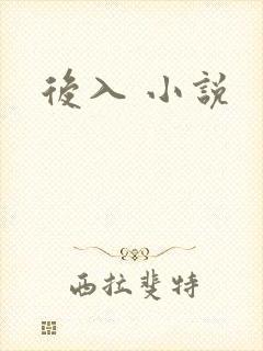 后入 小说