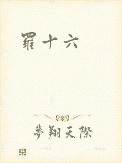 罗十六