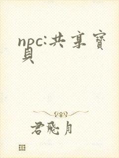 npc:共享宝贝