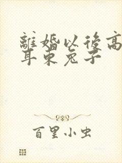 离婚以后高干 耳东兔子