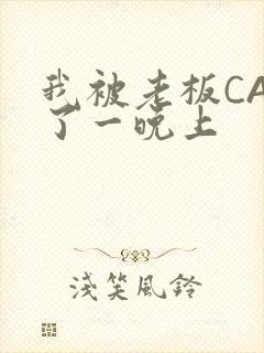 我被老板CAO了一晚上