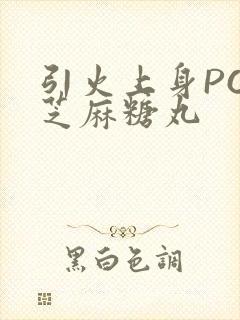 引火上身POP芝麻糖丸