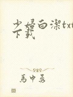 少妇白洁txt下载