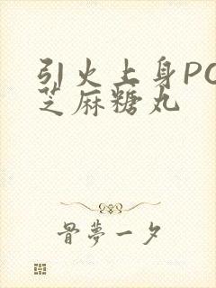 引火上身POP芝麻糖丸