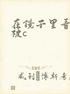 在镜子里看自己被c