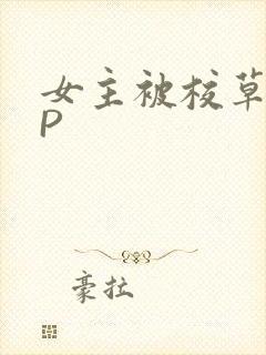 女主被校草们NP