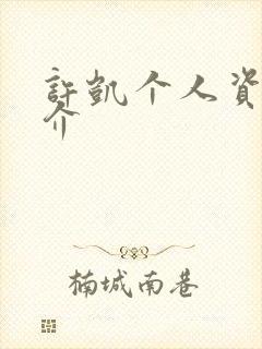 许凯个人资料简介