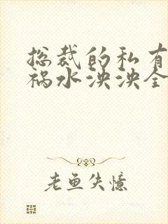 总裁的私有宝贝祸水泱泱全文阅读