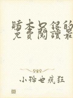 赌木口银的小说免费阅读最新