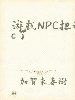 游戏NPC把我c了