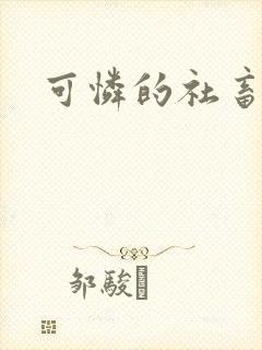 可怜的社畜小说