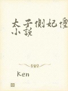 太子侧妃傻乎乎小说