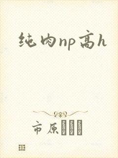 纯肉np高h