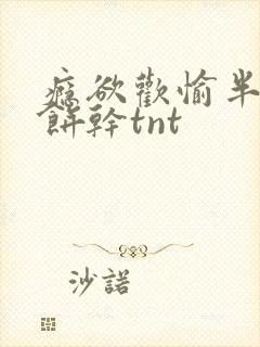 瘾欲欢愉半块小饼干tnt