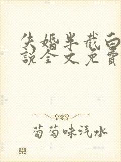 失婚半截白菜小说全文免费阅读