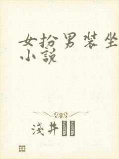 女扮男装坐江山小说