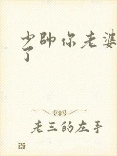 少帅你老婆又跑了