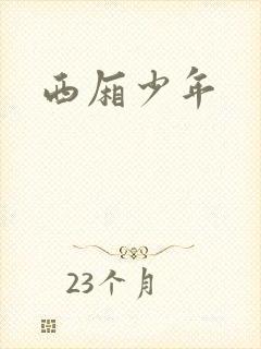 西厢少年