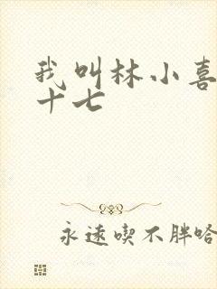 我叫林小喜今年十七