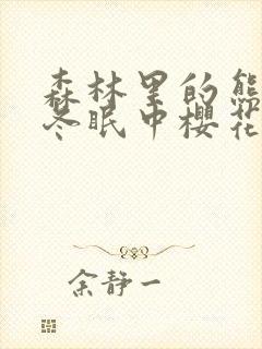 森林里的熊先生冬眠中樱花动漫