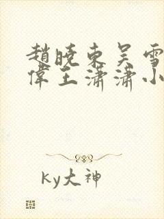 赵晓东吴雪晴郑伟王潇潇小说名字