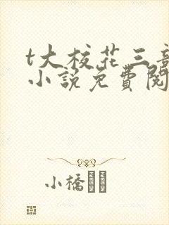 t大校花三部曲小说免费阅读全文