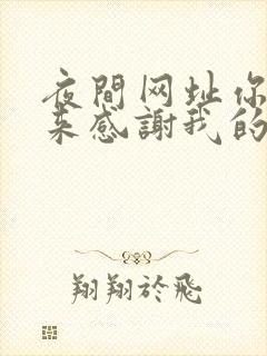 夜间网址你会回来感谢我的