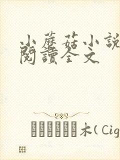 小蘑菇小说免费阅读全文