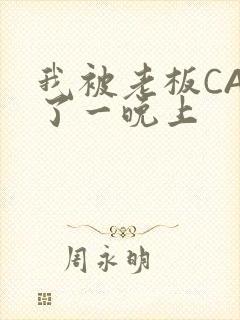 我被老板CAO了一晚上