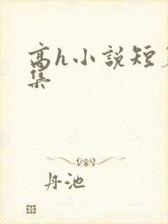 高h小说短篇合集