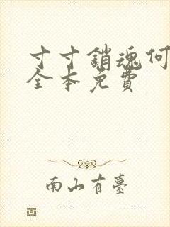 寸寸销魂何生祥全本免费