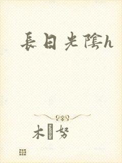 长日光阴h