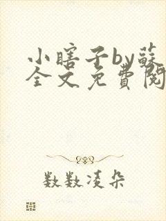 小瞎子by苏软全文免费阅读