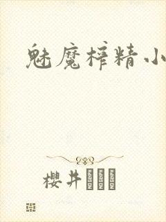 魅魔榨精小说