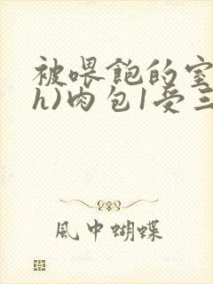 被喂饱的室友(h)肉包1受三攻