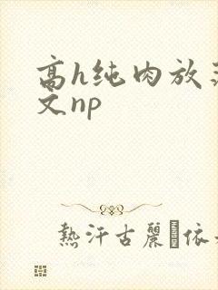 高h纯肉放荡h文np