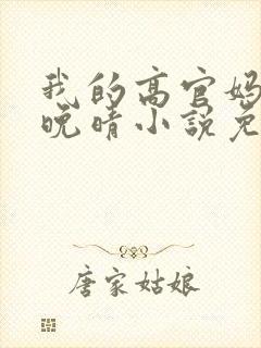 我的高官妈妈苏晚晴小说免费阅读