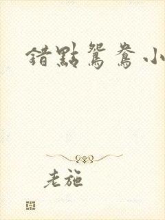 错点鸳鸯小说