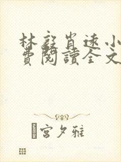 林毅肖远小说免费阅读全文最新章节