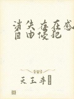 消失存在感消失自由侵犯