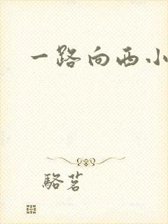 一路向西小说