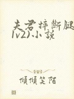 夫君摔断腿后(1v2)小说