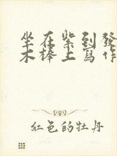 坐在紫到发黑的木棒上写作业