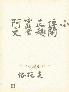 阿宾正传小说全文笔趣阁