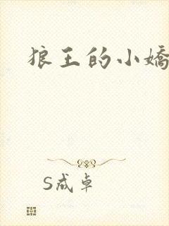 狼王的小娇妻
