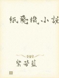 纸飞机小说