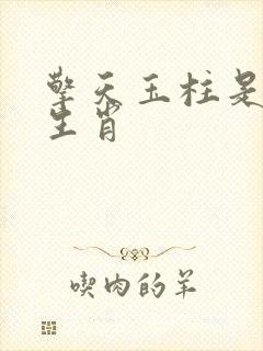 擎天玉柱是什么生肖