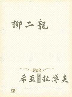 柳二龙